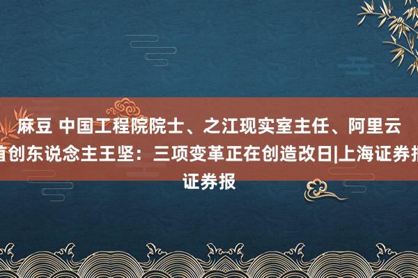 麻豆 中国工程院院士、之江现实室主任、阿里云首创东说念主王坚：三项变革正在创造改日|上海证券报